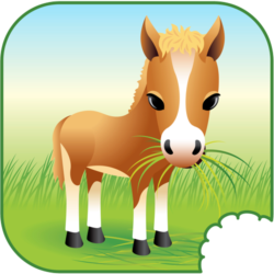 Health E Horse | All Day Hay